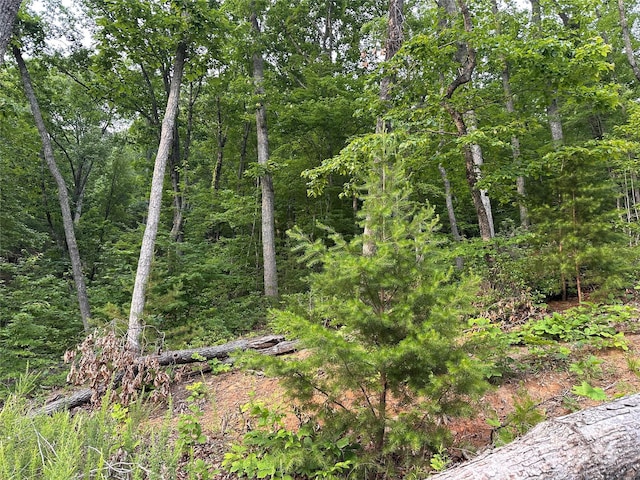 0 Golden Ridge Dr, Lake Lure, NC 28746 - photo 2