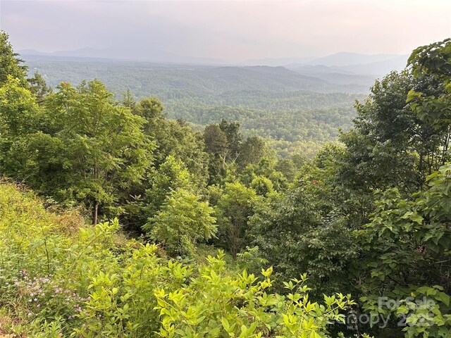 0 Golden Ridge Dr, Lake Lure, NC 28746 - photo 5