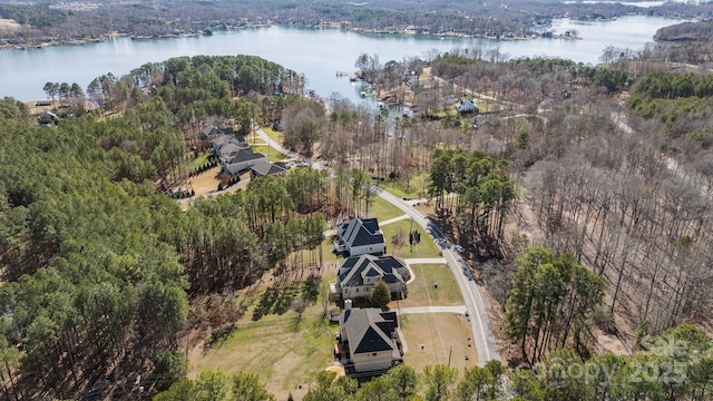 704 Kenway Loop, Mooresville, NC 28117 - view of property location featuring a large body of water and a forest