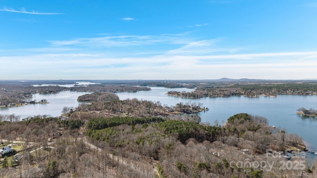 704 Kenway Loop, Mooresville, NC 28117 - water view featuring a heavily wooded area
