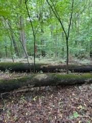 5901 Howard St, Charlotte, NC 28269 - photo 2