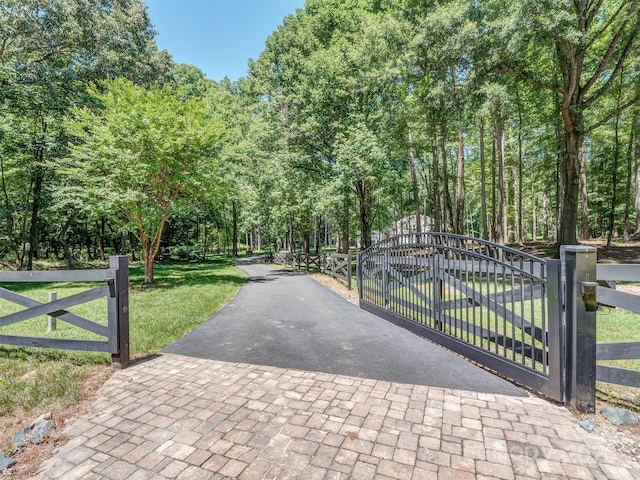 202 Walden Ln, Weddington, NC 28104 - view of gate