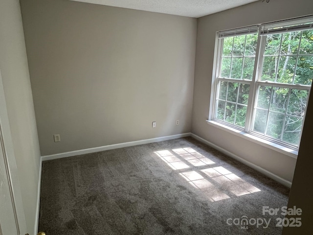 3617 Betterton Ln, Charlotte, NC 28269 - photo 22