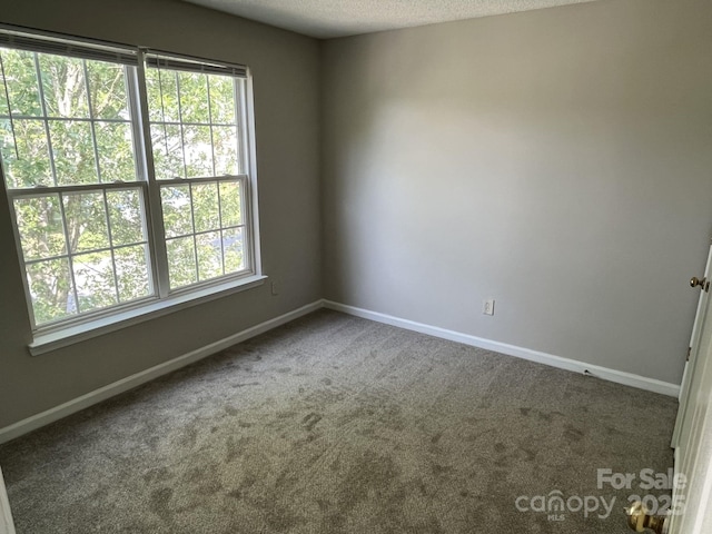 3617 Betterton Ln, Charlotte, NC 28269 - photo 24