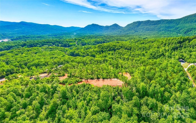 1 Constant Ln, Columbus, NC 28722 - aerial view of a heavily wooded area and a mountainous background