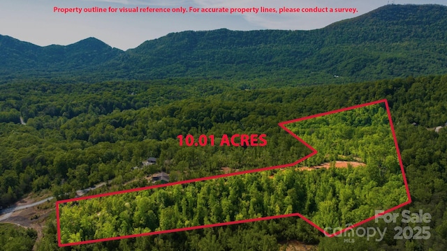 1 Constant Ln, Columbus, NC 28722 - aerial view of property and surrounding area with property parcel outlined