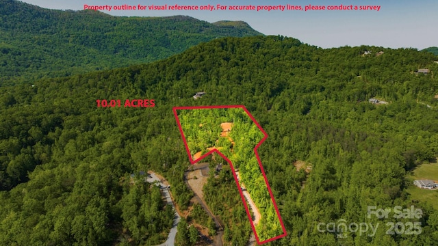 1 Constant Ln, Columbus, NC 28722 - aerial view of property's location with property parcel outlined and a mountainous background