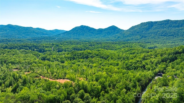 1 Constant Ln, Columbus, NC 28722 - view of mountain background with a heavily wooded area