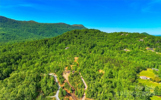 1 Constant Ln, Columbus, NC 28722 - aerial view of mountains