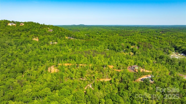 1 Constant Ln, Columbus, NC 28722 - aerial overview of property's location featuring a forest