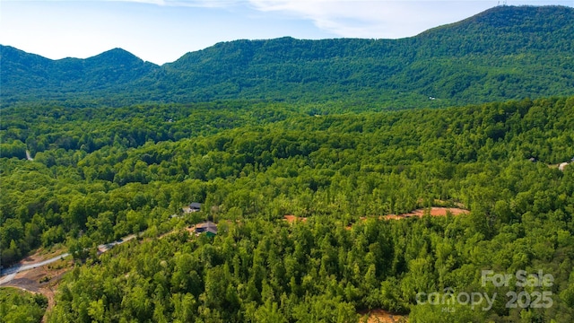 1 Constant Ln, Columbus, NC 28722 - view of mountain background with a forest