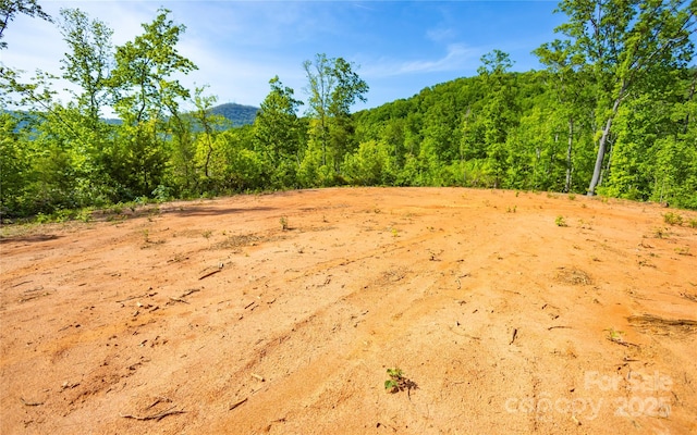 1 Constant Ln, Columbus, NC 28722 - view of woods