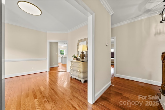 8173 Shannon Woods Ln, Weddington, NC 28104 - photo 29