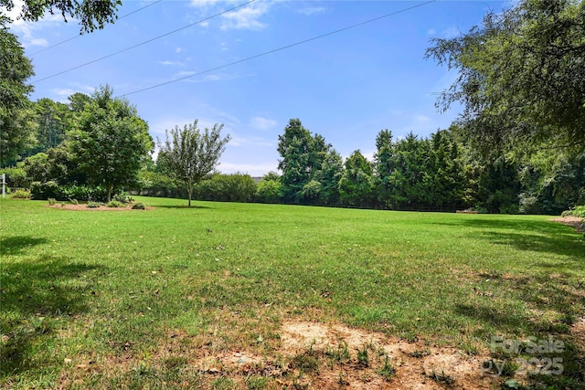 8173 Shannon Woods Ln, Weddington, NC 28104 - photo 37