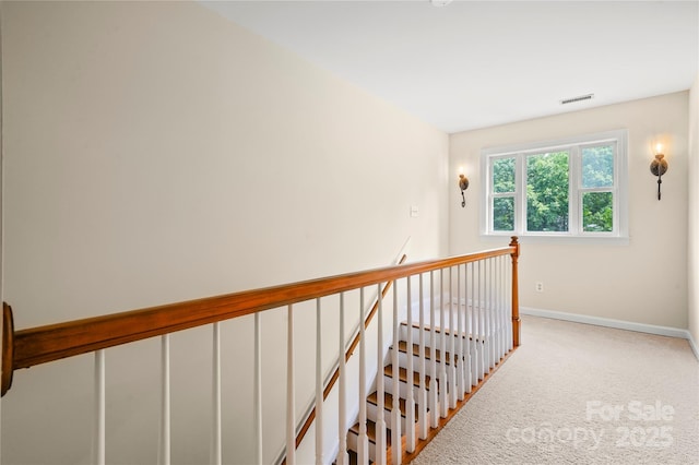8173 Shannon Woods Ln, Weddington, NC 28104 - photo 48