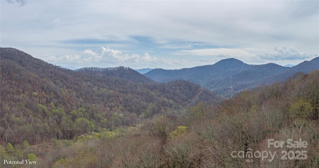 LOT150 Puncheon Ln, Mars Hill, NC 28754 - photo 5