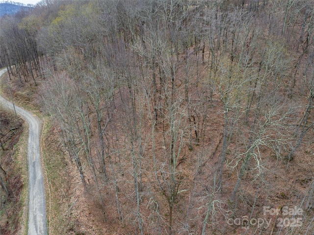 LOT150 Puncheon Ln, Mars Hill, NC 28754 - photo 2