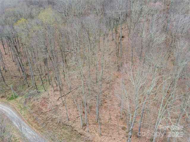 LOT150 Puncheon Ln, Mars Hill, NC 28754 - photo 3