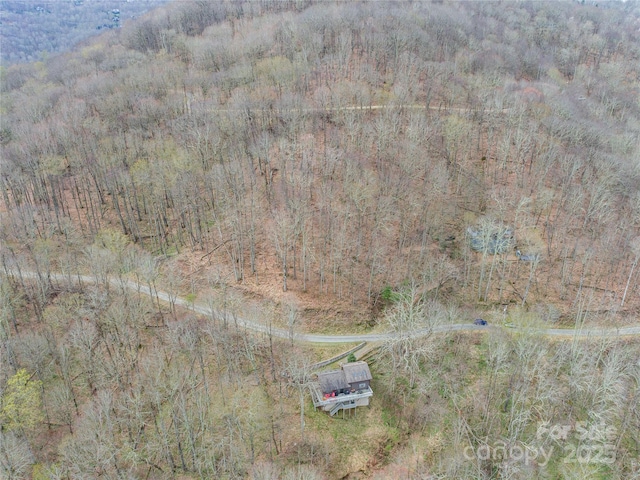 LOT150 Puncheon Ln, Mars Hill, NC 28754 - photo 4