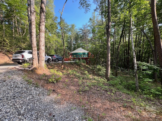 430/428 Galbraith Creek Rd, Bryson City, NC 28713 - photo 27