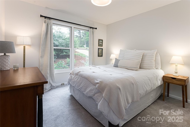 106 Goldfinch Ln, Asheville, NC 28803 - photo 17