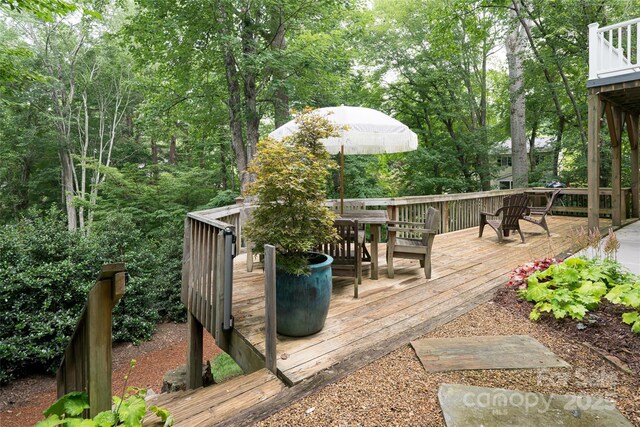 106 Goldfinch Ln, Asheville, NC 28803 - photo 30