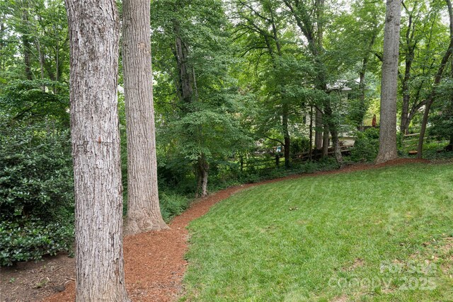 106 Goldfinch Ln, Asheville, NC 28803 - photo 32