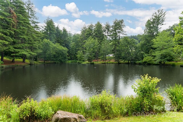 106 Goldfinch Ln, Asheville, NC 28803 - photo 36