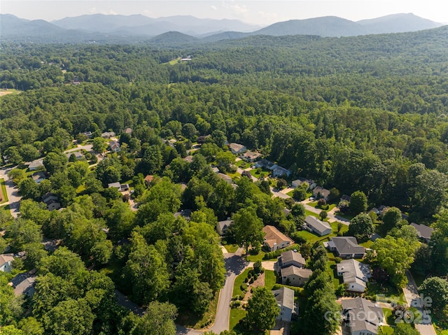 106 Goldfinch Ln, Asheville, NC 28803 - photo 38