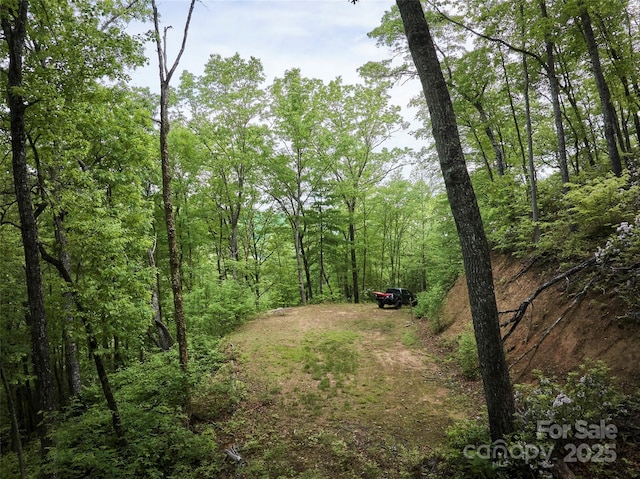 0 Holly House Rd, Bryson City, NC 28713