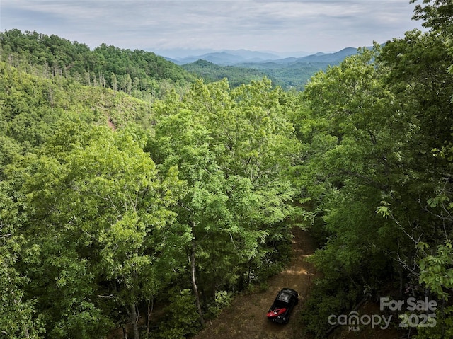 0 Holly House Rd, Bryson City, NC 28713