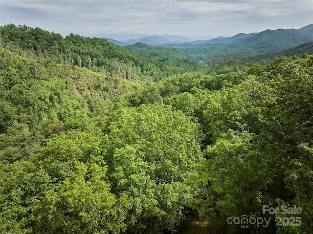 0 Holly House Rd, Bryson City, NC 28713
