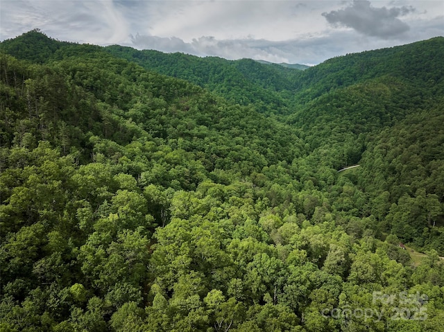 0 Holly House Rd, Bryson City, NC 28713