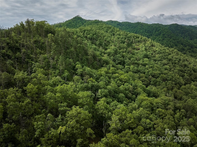 0 Holly House Rd, Bryson City, NC 28713