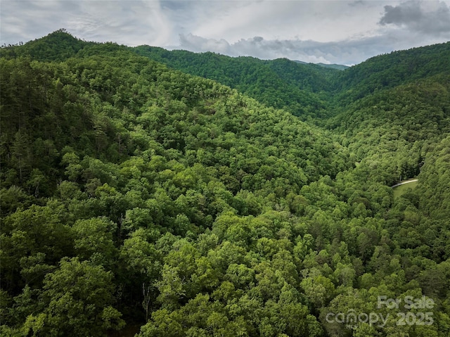 0 Holly House Rd, Bryson City, NC 28713
