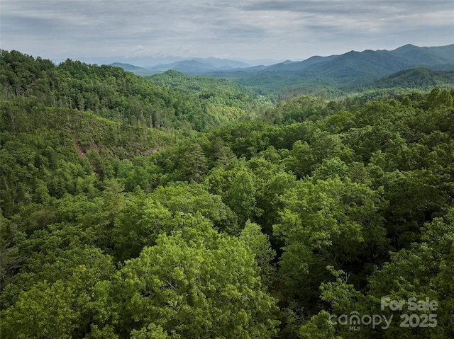 0 Holly House Rd, Bryson City, NC 28713