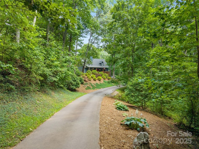 12 Howling Waite Rdg, Candler, NC 28715 - photo 2