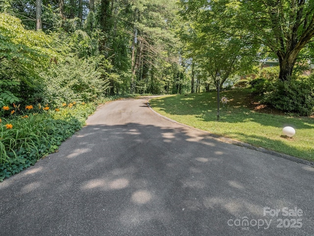 1 Whitehall Ln, Hendersonville, NC 28739 - photo 14