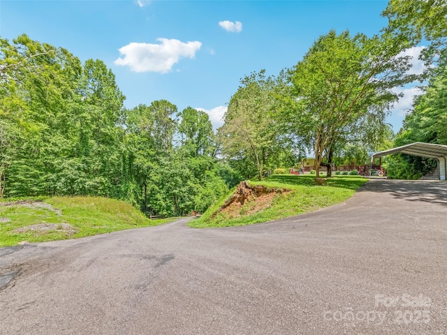 165 Lollis Ln, Bryson City, NC 28713 - photo 3