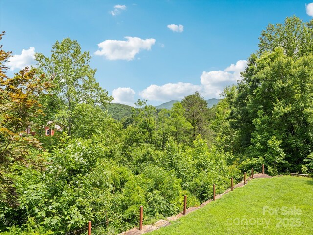 165 Lollis Ln, Bryson City, NC 28713 - photo 7