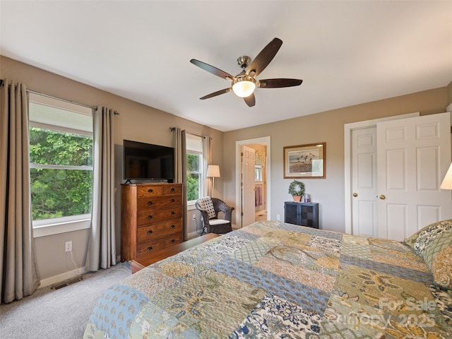 165 Lollis Ln, Bryson City, NC 28713 - photo 28
