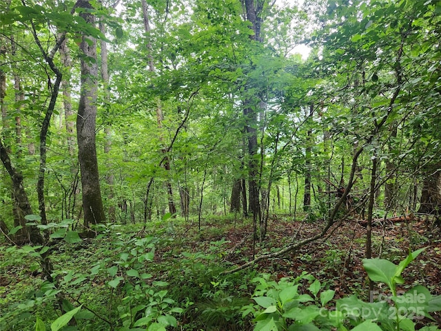 9999 Henry Worley Ln, Marshall, NC 28753