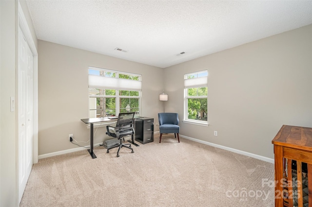 12223 Savannah Garden Dr, Charlotte, NC 28273 - photo 17