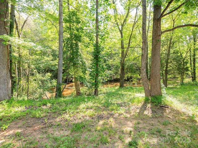 6548 Emerald Isle Dr, Sherrills Ford, NC 28673 - view of wooded area
