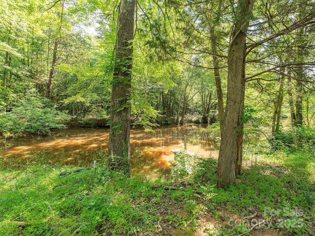 6548 Emerald Isle Dr, Sherrills Ford, NC 28673 - view of tree filled area