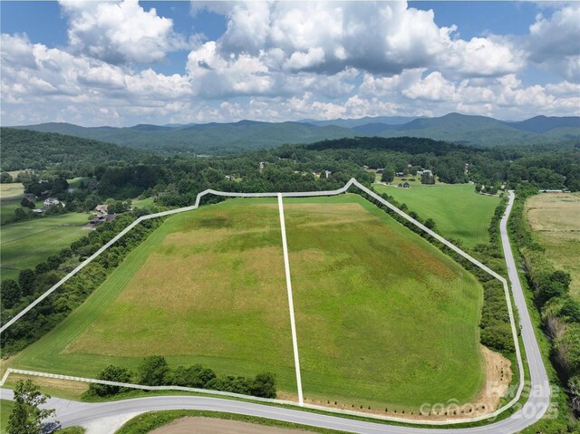 MINIFARM2 Coventry Dr, Brevard, NC 28712 - photo 3