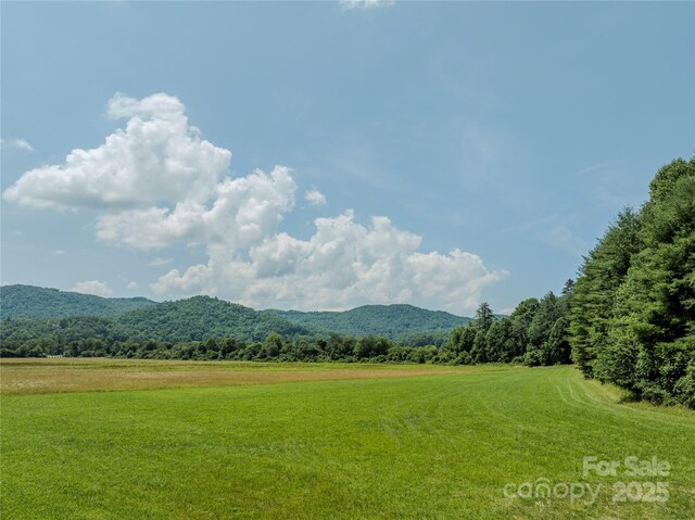 MINIFARM2 Coventry Dr, Brevard, NC 28712 - photo 6