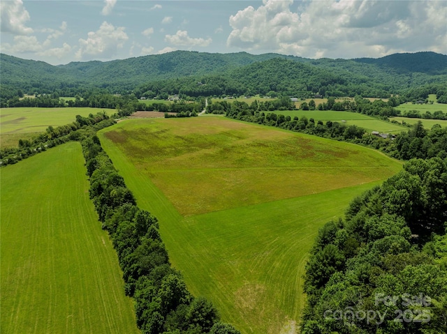 MINIFARM2 Coventry Dr, Brevard, NC 28712 - photo 10