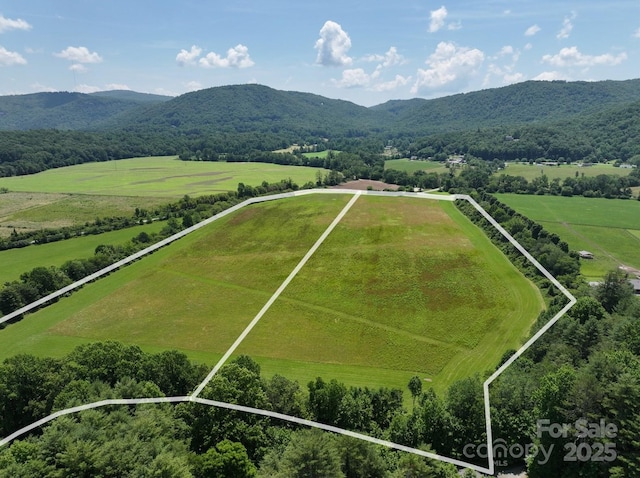 MINIFARM2 Coventry Dr, Brevard, NC 28712 - photo 1