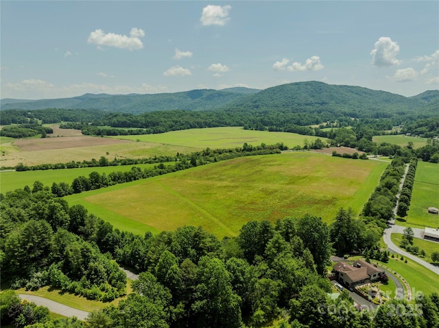 MINIFARM2 Coventry Dr, Brevard, NC 28712 - photo 12